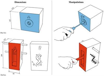 Is there a Competition between Functional and Situational Affordances during Action Initiation with Everyday Tools?